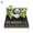 C, variant on 3D Panda Notepad 2025 Weekly Calendar Sticky Notes Creative Desktop Note Gift