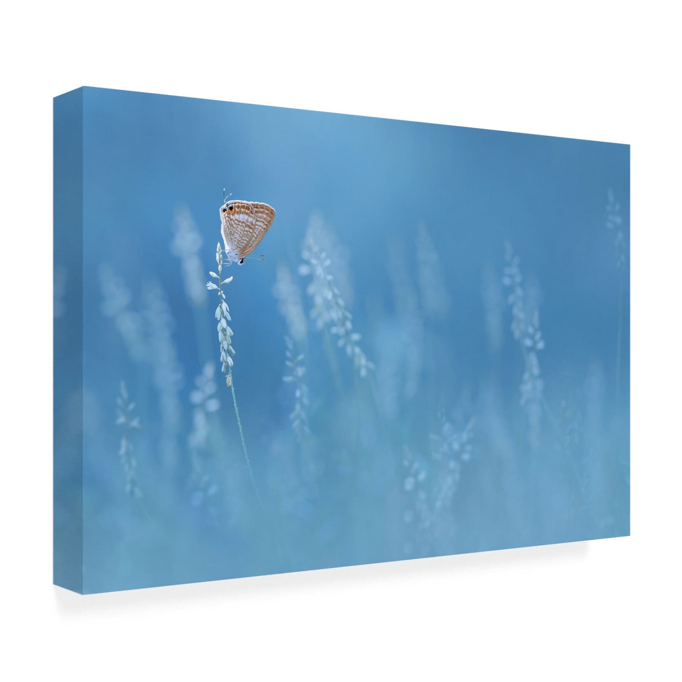 Canvas Wall Art - Edy Pamungkas 'Blues' Wall Art for Living Room, Bedroom, or Office Décor by Trademark Fine Art - 32 x 22 Inches