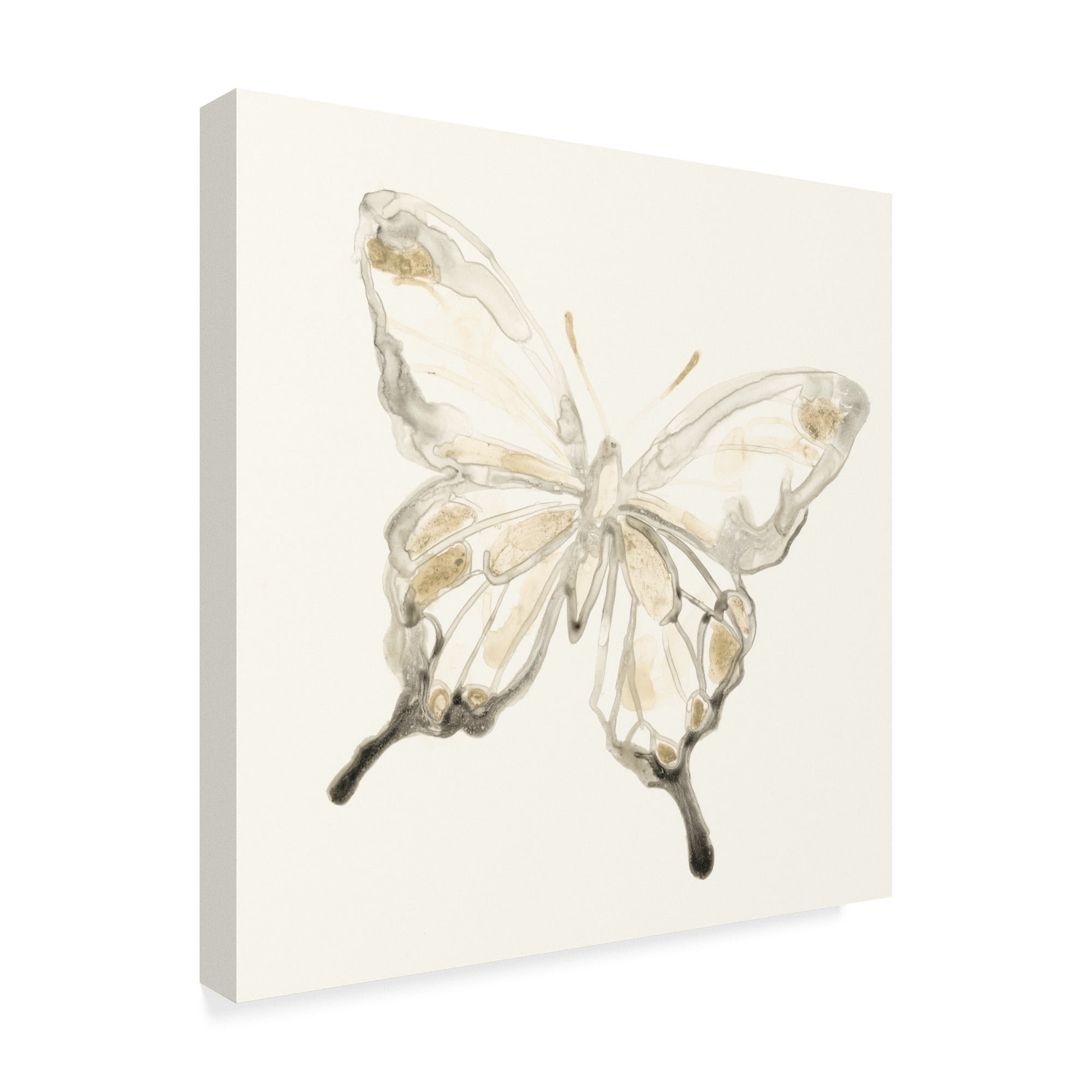 Trademark Fine Art 'Sepia Butterfly Impressions IV' Canvas Art by June Erica Vess