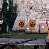 WHAMVOX 1 Set Portable Carbon Steel Steel Targets for Shooting and Backyard Practice