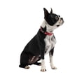 thumbnail image 2 of Gf Pet  Reflective Collar (pack Of 1), 2 of 4