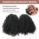 thumbnail image 5 of Extensiones de cabello humano a ganchillo YOUNG BEAUTY Kinky Curly de 20 pulgadas, 5 of 8