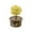 Yellow, variant on DIY Growing Kit Grow Trees in 24 Hours Educational Craft Kit with 1 colorful Growing Powders 1 1 Stir Sticks 1 measuring cups and 1 instruction manual Craft Kits(Clear)