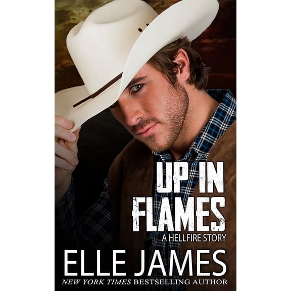 Hellfire Up In Flames, Book 6, (Paperback)