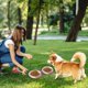 thumbnail image 5 of Cuencos plegables para viajar, 2 en 1, de silicona, para comida y agua, con cremallera, ideales para excursiones al aire libre, acampadas y viajes, cuencos portátiles para perros y gatos., 5 of 5