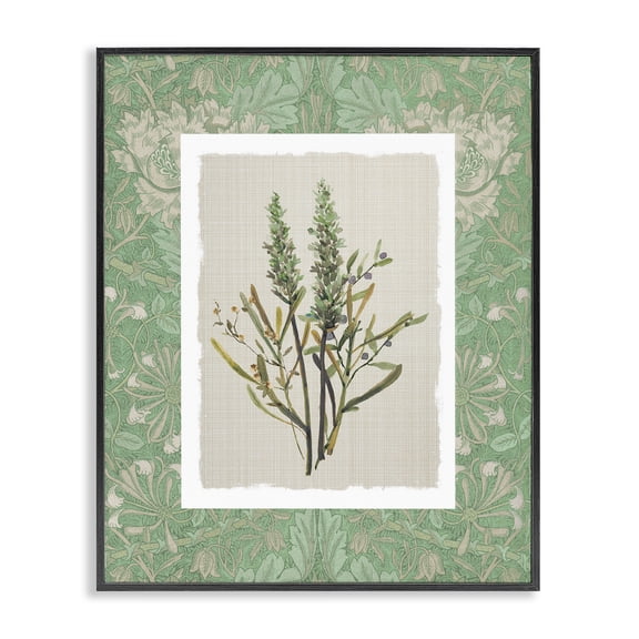 Stupell Industries Traditional Antique Foliage in Green Black Framed Giclee Art, 11 x 14, by Carol Robinson