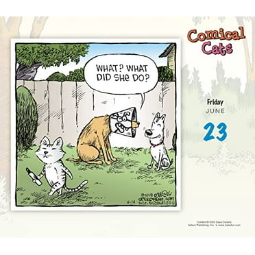 Comical Cats 2023 Daily Calendar