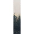 thumbnail image 3 of Iafrate, Sandra 7x18 Black Modern Framed Museum Art Print Titled - Pacific Northwest Panel VI, 3 of 5