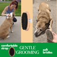 thumbnail image 2 of Cepillo para perros GranNaturals de cerdas suaves de jabalí con mango de madera, 2 of 8