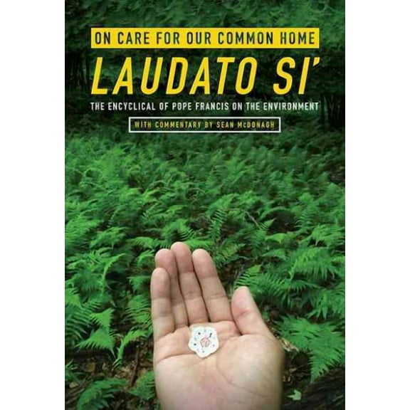 On Care for Our Common Home, Laudato Si': The Encyclical of Pope Francis on the Environment with Commentary by Sean McDonagh (Paperback)