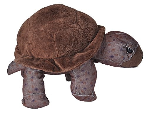 stuffed tortoise
