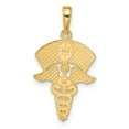 thumbnail image 3 of 14k Yellow Gold Caduceus Nurses Cap Pendant, 3 of 4