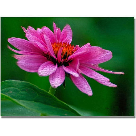 Trademark Fine Art "One Pedal at a Time" Canvas Wall Art by Lois Bryan