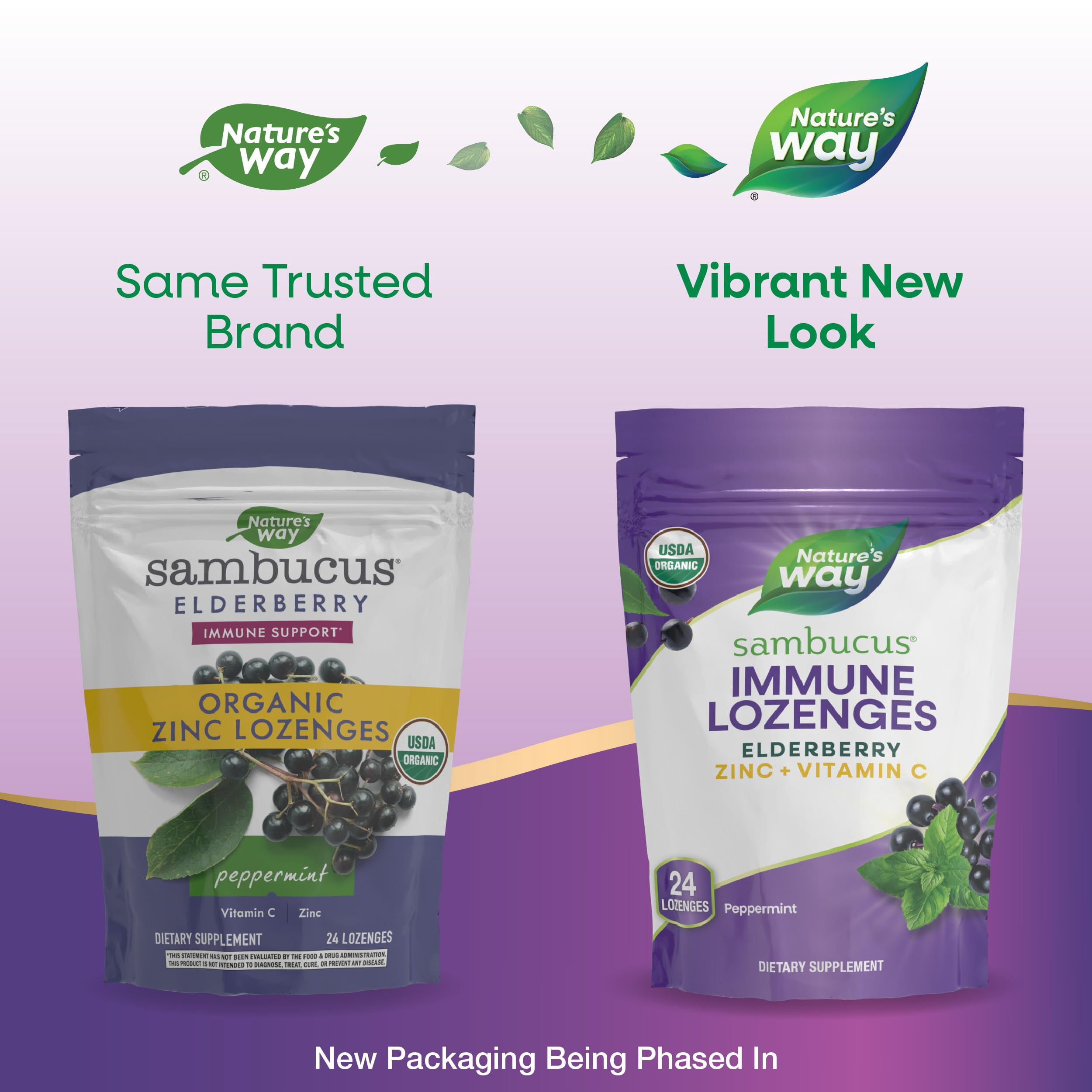 (Pack Of 6) Natures Way Sambucus Organic Zinc Lozenge 24 Pieces