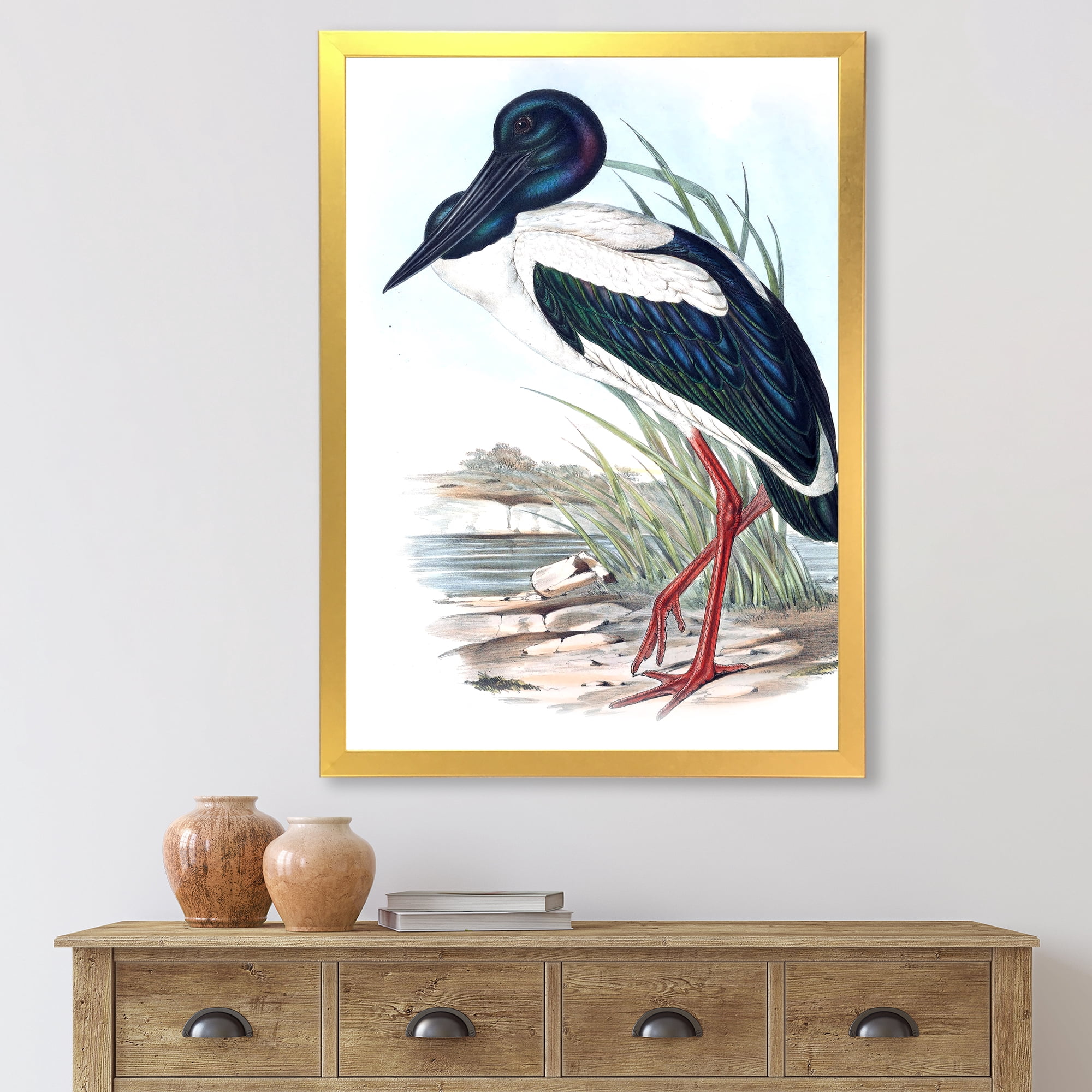 Designart 'Australian Vintage Birds I' Traditional Framed Art Print