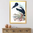 thumbnail image 3 of Designart 'Australian Vintage Birds I' Traditional Framed Art Print, 3 of 4