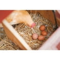 thumbnail image 3 of Garden Elements Straw Bale by Shady Creek Farm, Multi-Use for Farm & Home, Large Bale, 36", 3 of 6