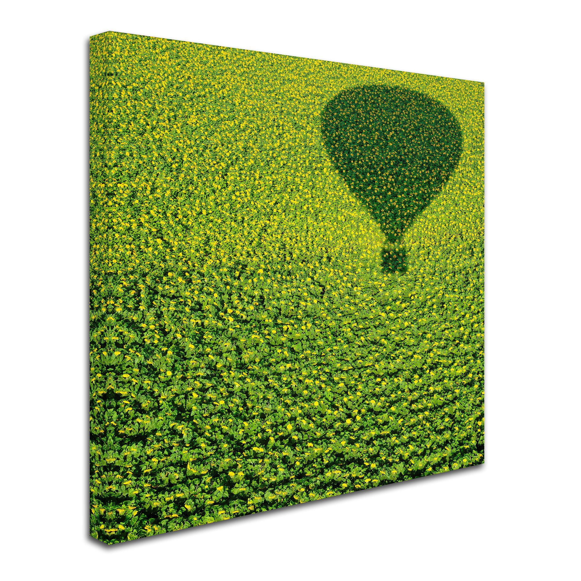 Avi Revivo 'A Hundred Million Suns' Canvas Art