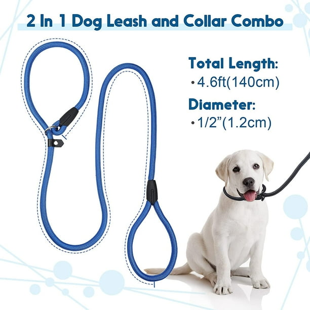 2 foot dog training hot sale leash