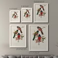thumbnail image 4 of Elegant Trogons IX - Premium Framed Canvas 2 Piece Set - Ready to Hang, 4 of 7