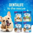 thumbnail image 2 of DentaLife Plus Digestive Support, Dog Treats 408 g, 2 of 9