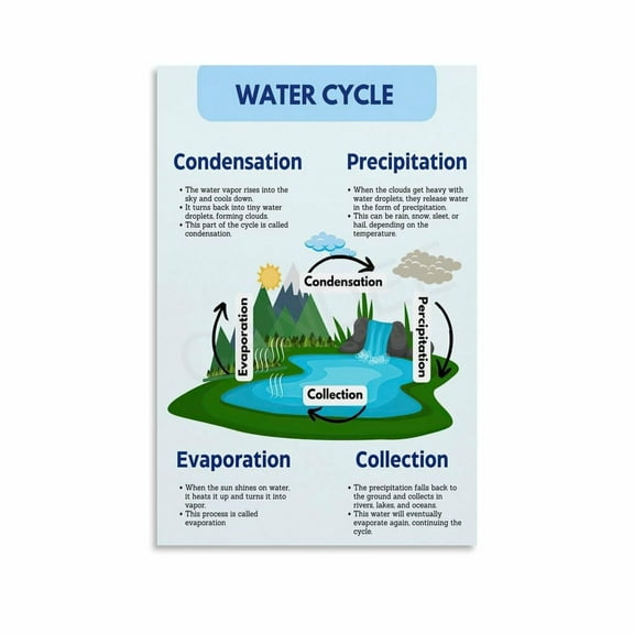 Water Cycle Science Classroom Educational Poster (1) Canvas Painting Wall Art Poster for Bedroom Living Room Decor