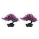 thumbnail image 3 of Plantas artificiales Bonsai Tree Injueey Planta de interior realista para el hogar Oficina Decoración de escritorio, 3 of 6