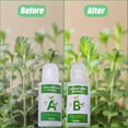 thumbnail image 3 of 1-3sets General Hydroponics Nutrient A And B For Plants Flowers Vegetable Fruit Hydroponic Soilless Culture Plant Food Solution, 3 of 5