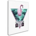 thumbnail image 2 of Trademark Fine Art 'Miami Flamingo' Canvas Art by Robert Farkas, 2 of 3
