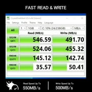 SSD 256GB M.2 2242 NGFF SSHARKSPEED SATA 3 42mm 6Gb/s 3D NAND Internal Solid State Drive for Desktop Laptop PC (M.2 2242, 256GB)