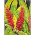 thumbnail image 3 of OToole, Tim 19x24 Black Modern Framed Museum Art Print Titled - Red Tropical Flowers I, 3 of 5