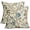 Blue Green Brown, variant on Sage Green Brown Vintage Floral Pillow Covers 16x16 Inch Set of 2 Chinoiserie Flower Netural Decorative Throw Pillowcases Rustic Farmhouse Accent Outdoor Cushion Cases Decor for Sofa Couch Bed