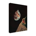 thumbnail image 4 of Trademark Fine Art spacerocket art  301 Canvas Wall Art, 4 of 4