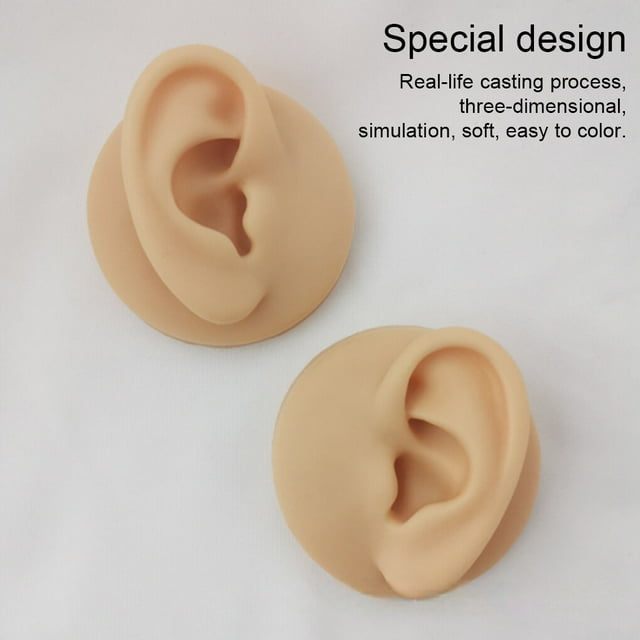 facefd Silicone Ear Model Simulation Piercing Tool Ear Display Three-Dimensional for Teaching Instruction Acupuncture Right Ear/Rack