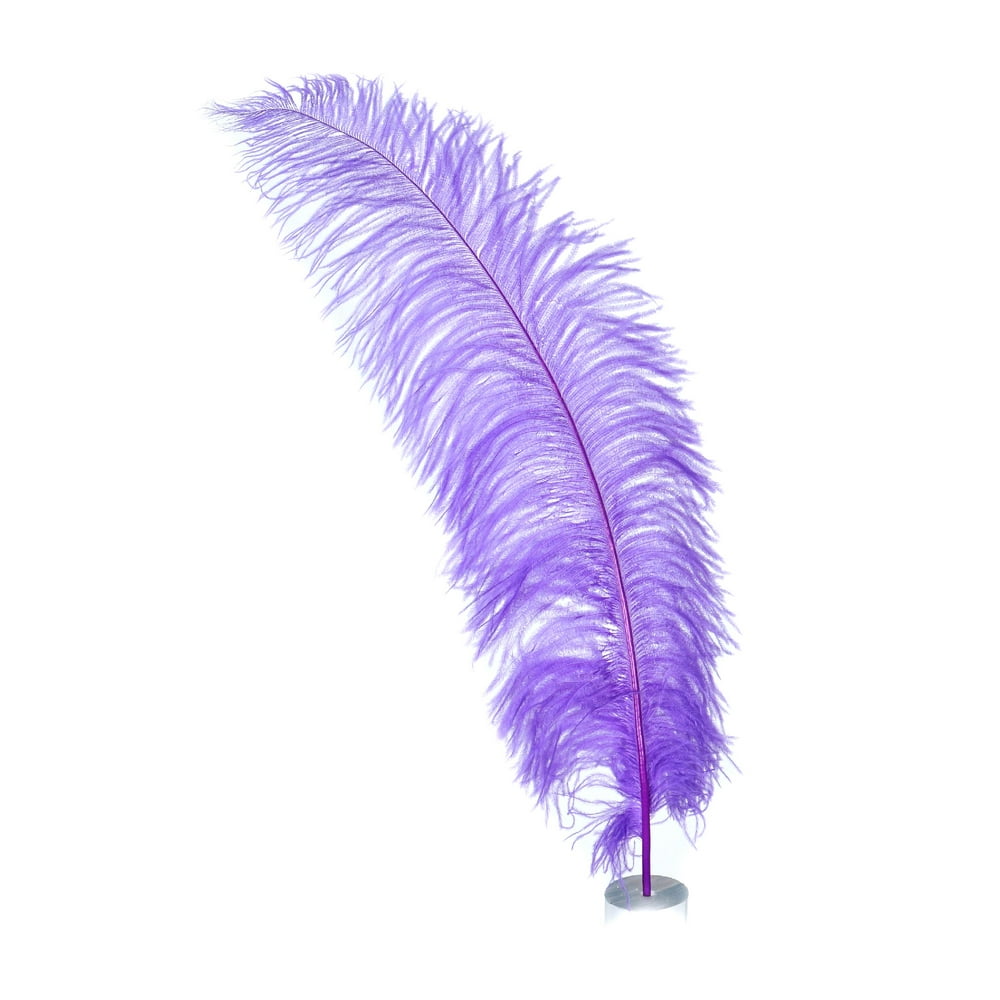 1824" (4661 cm) 1/4 lb Natural Lavender Purple Feather Wedding