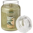 thumbnail image 3 of Yankee Candle Sage & Citrus - Large Classic Jar, 3 of 6