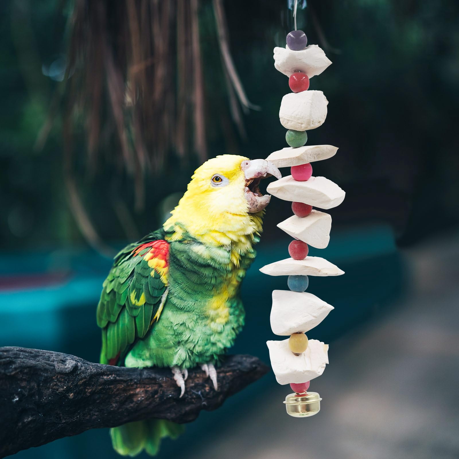 Trianu 4Pcs Bird Cuttlebone Chew Toy, Natural Calcium Cuddle Bone Sharp Beaks Cage Toy for Parrot Budgie Conure Cockatiel