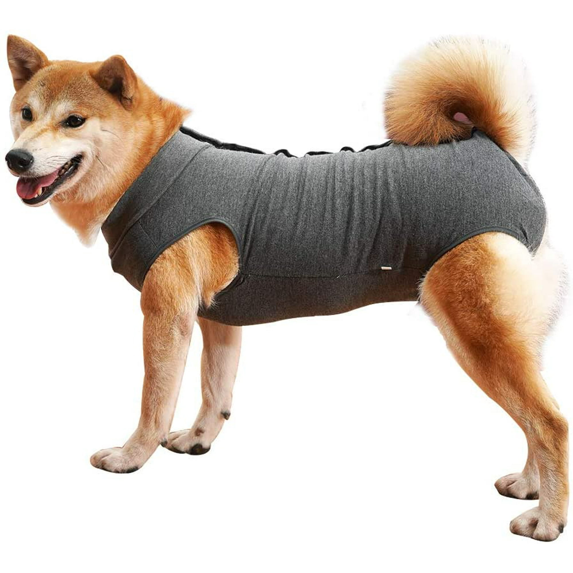 Dog Surgical Recovery Suit Comfortable E Collar Alternative Pet T-Shirt for  Dogs (S, Grey)