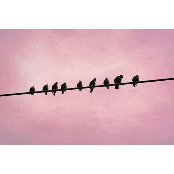 "Chatting on the Wire" Painting Print on Wrapped Canvas