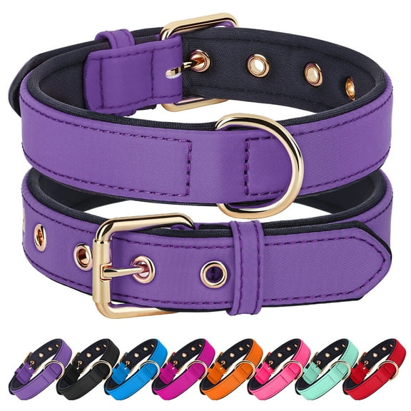 Didog Waterproof Nylon Dog Collar Soft Padded Adjustable Metal Buckle with D-Ring S-L