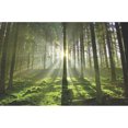thumbnail image 1 of Taladro diamante pintura (DE0307) 5D DIY cuadrado completo bosque punto de cruz bordado 50x70cm FLhrweasw Nuevo, 1 of 1