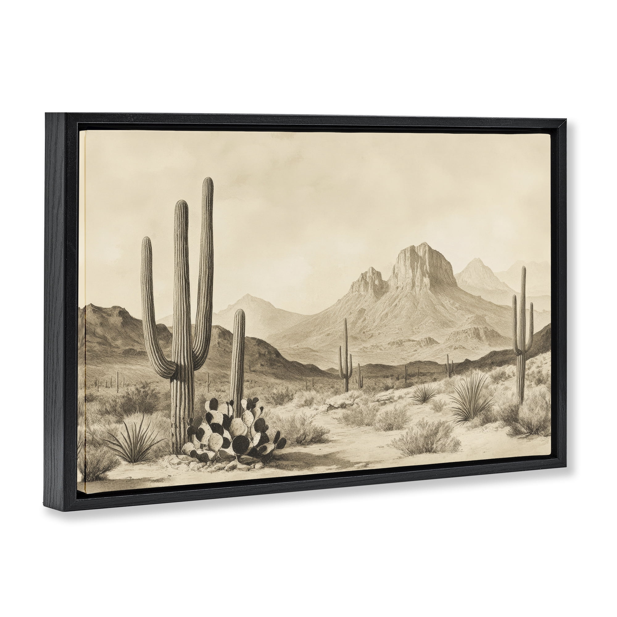 Stupell Industries Arizona Desert Vista Black Framed Floater Canvas Wall Art, design by Petal Prints Design
