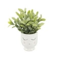 thumbnail image 3 of (4 pack) Mainstays Tabletop Artificial Faux Tea Leaf Plant in White Ceramic Shy Girl Pot, 3", 3 of 7