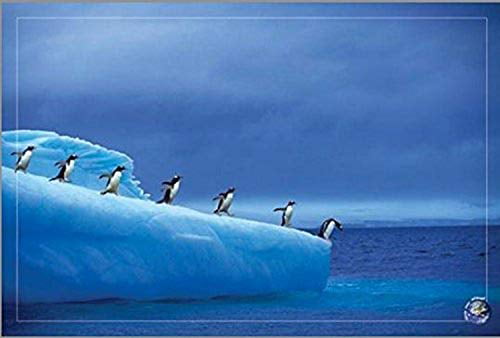 Home decor Art Canvas Print,Oil Painting,penguins Arctic Glacial Lake Sun 16x20 