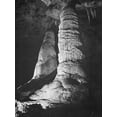thumbnail image 2 of Adams, Ansel 15x18 Black Ornate Wood Framed with Double Matting Museum Art Print Titled - Hall of Giants-Big Room-Carlsbad Caverns National Park-New Mexico, 2 of 4