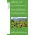 thumbnail image 4 of Traditional Medicinals Organic Green Lemon Grass Tea Bags - 16 ea, 4 of 7
