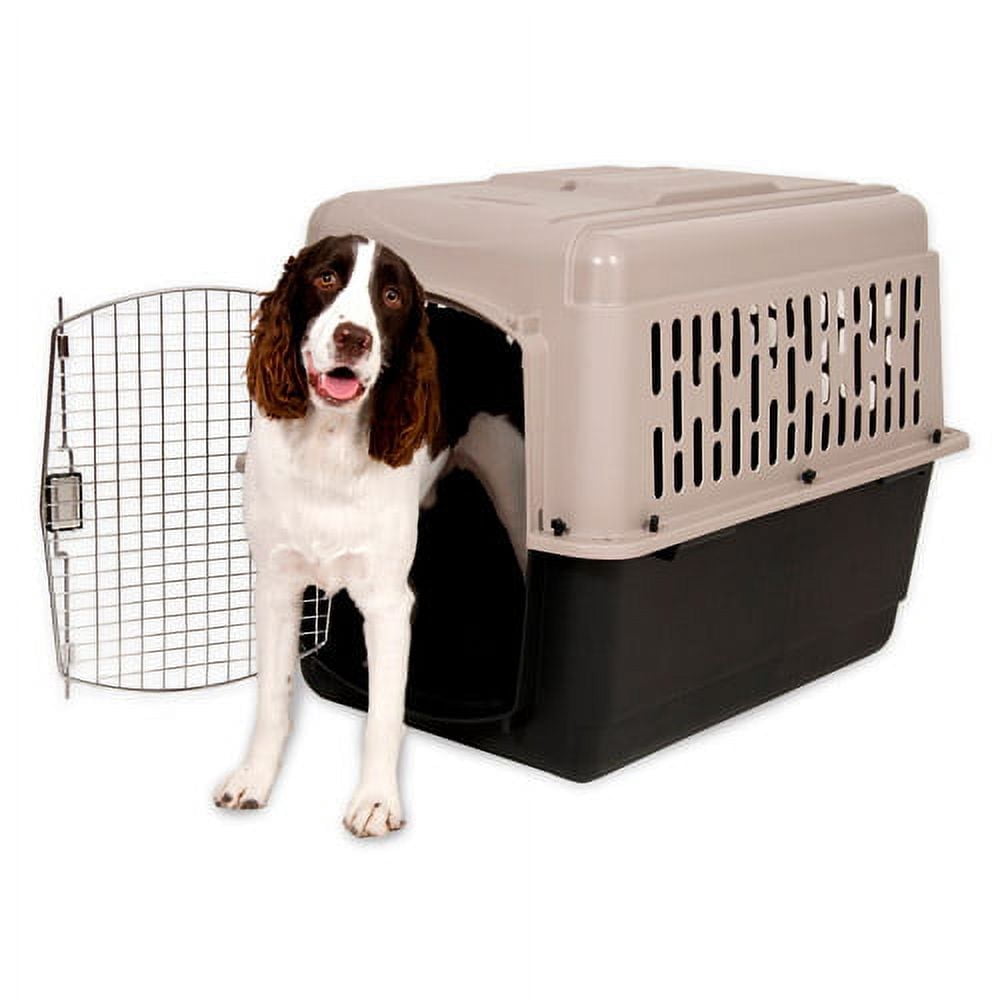 Petmate Sky Kennel for Dogs, IATA Approved, Plastic Travel Carrier