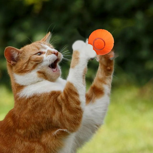 Pelota de juguete interactiva inteligente Fernando Naranja