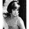 thumbnail image 2 of Strange Bedfellows Gina Lollobrigida 1965 Photo Print (8 x 10), 2 of 2