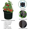 thumbnail image 2 of 5 bolsas para plantar patatas, bolsa de cultivo negra de 12 litros (3 galones), bolsa geotextil de tela no tejida, bolsas para plantas para tomates, pimientos, zanahorias, fresas y otras plantas, ma, 2 of 5